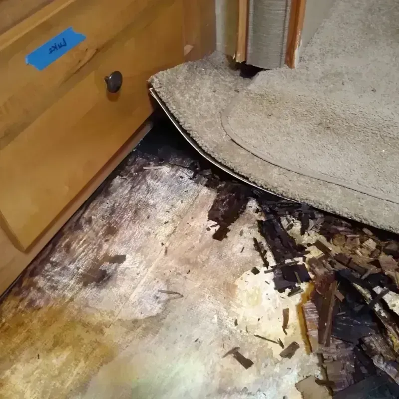 Wood Floor Water Damage in Lincoln County, WI